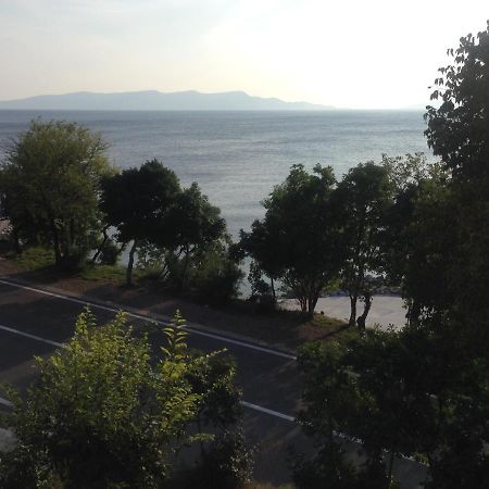 Apartment Marina Senj Senj  Bagian luar foto